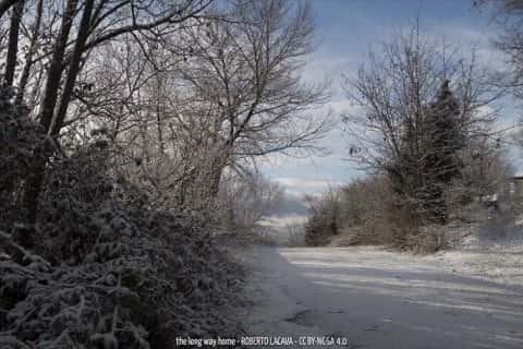 The Long Way Home 76