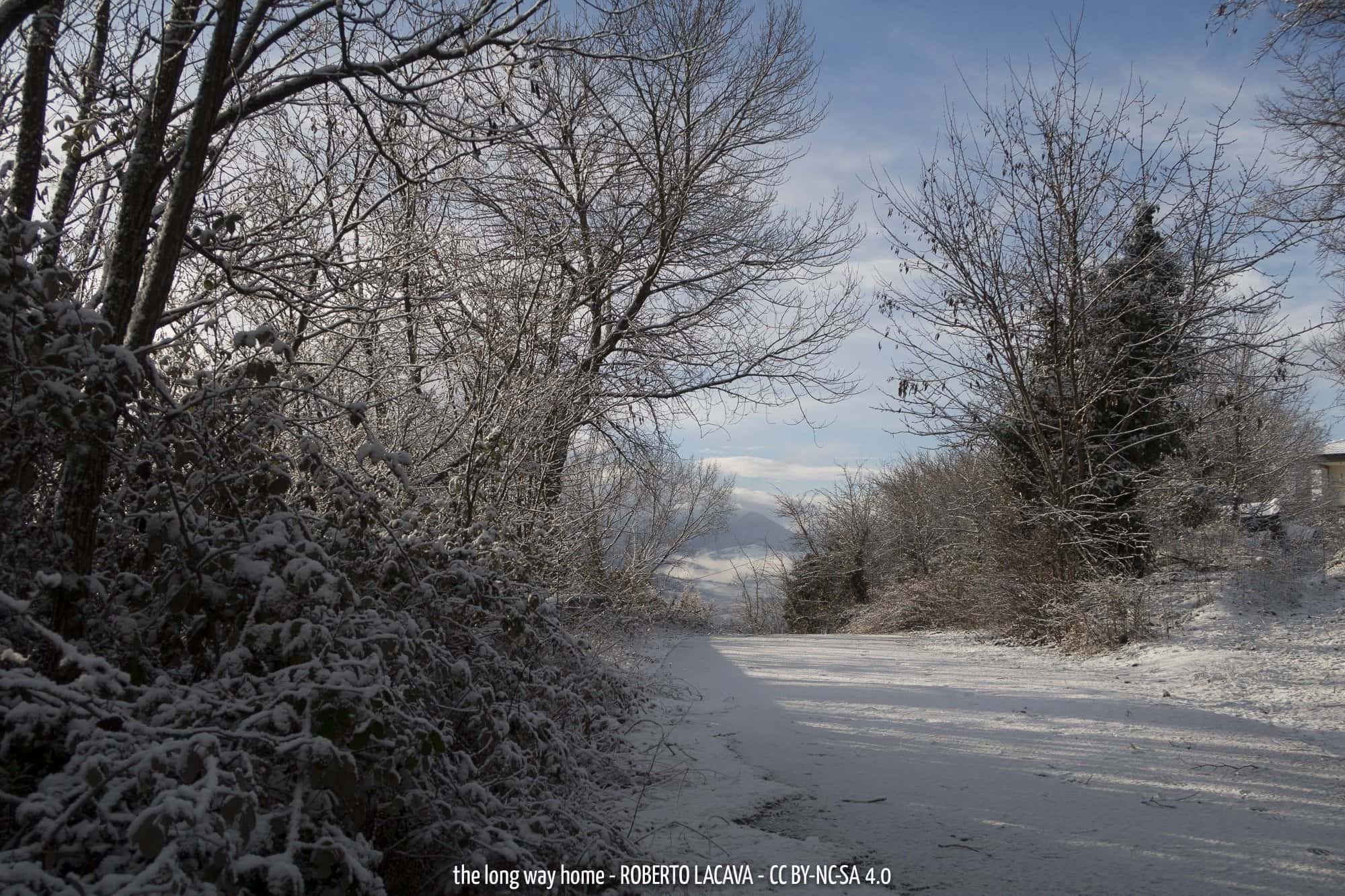 The Long Way Home 48