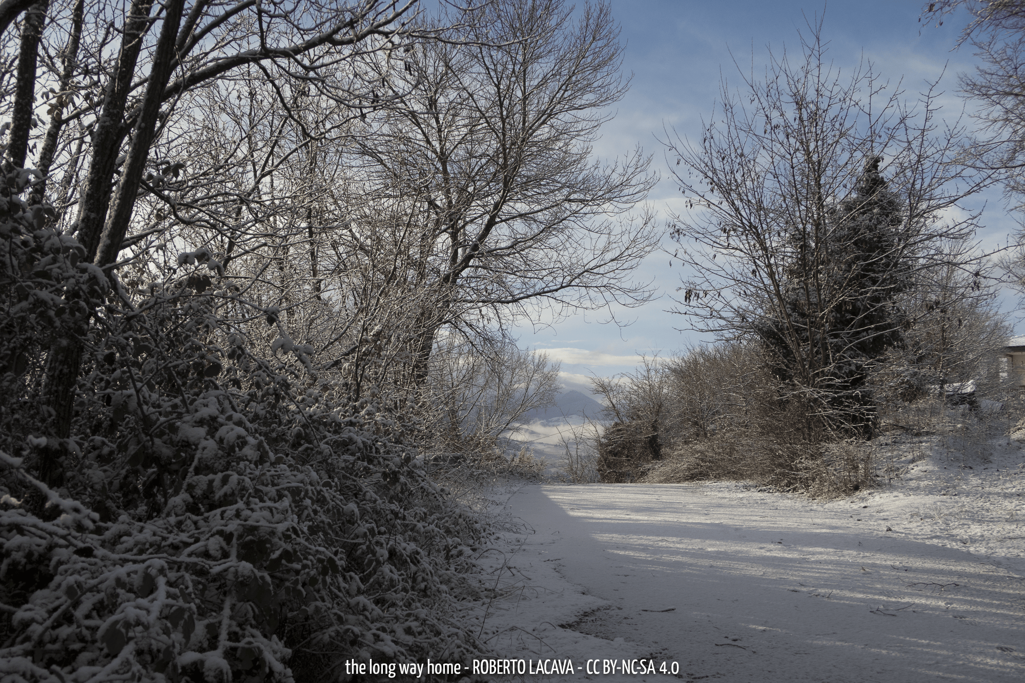 The Long Way Home 13