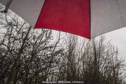 The Long Way Home 78