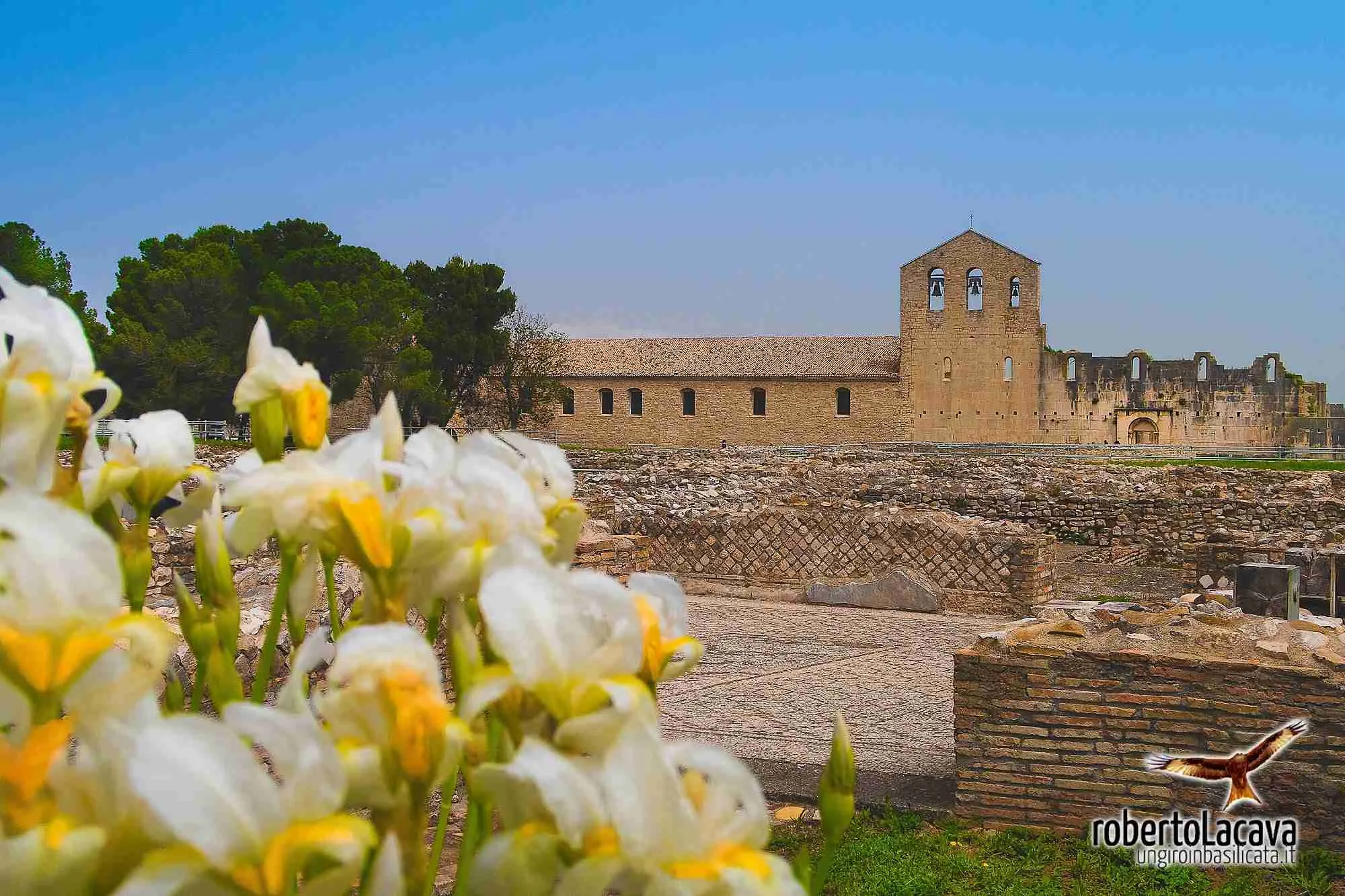 A Tour of Basilicata 5