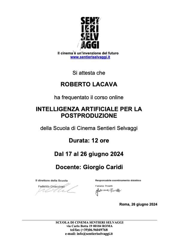 Professional Profile 4